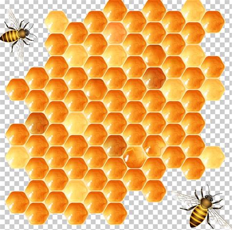 Beehive Honeycomb PNG, Clipart, Bees, Bee Vector, Encapsulated ...