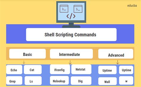 Shell Scripting Commands | Basic To Advanced Commands With Example