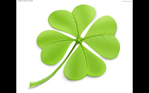 St Patrick's Day Clover - Wallpaper, High Definition, High Quality ...