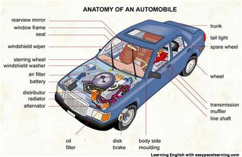 parts of a car inside and outside - Cortney Cagle