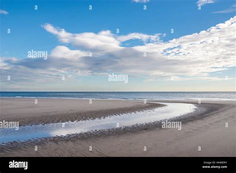 Speeton sands at Filey Bay on the coast of North Yorkshire, England ...