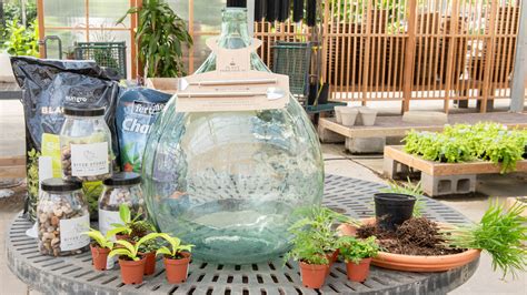 How to Build a Bottle Garden | Bottle Garden Guide | Mulhall's