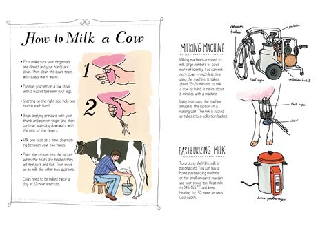 How to Milk a Cow