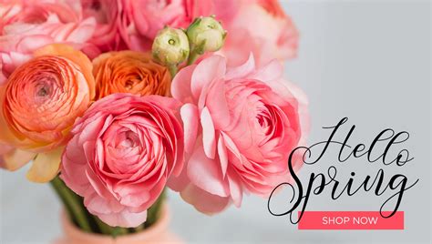 San Diego Florist | Flower Delivery by Serra Mesa Florist