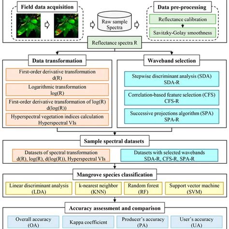 Flowchart of mangrove species identification using field close-range ...