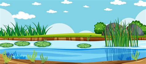 Pond Background Vector Art, Icons, and Graphics for Free Download