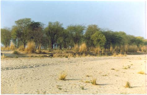 Desertification, Erosion and Conservation of Soils of Rajasthan | RajRAS - Rajasthan RAS