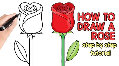 How to Draw a Rose - Easy Step by Step For Beginners and Kids | Rose ...