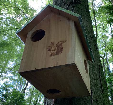 Squirrel Nest Box With Metal Roof By Garden Selections ...