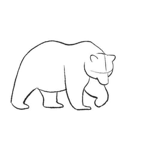 How to Draw a Grizzly Bear Easy Step by Step - Jae Johns