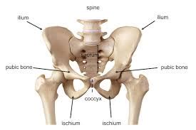 Ilium Pain - Causes & Treatment Options for Iliac Crest Pain