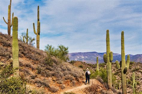 THE 15 BEST Things to Do in Phoenix (2024) - Must-See Attractions