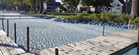 Public program will target toxic algae blooms – BloomOptix