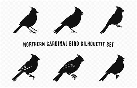 Northern Cardinal Bird Silhouettes Vector Set, Set of Cardinal Bird ...