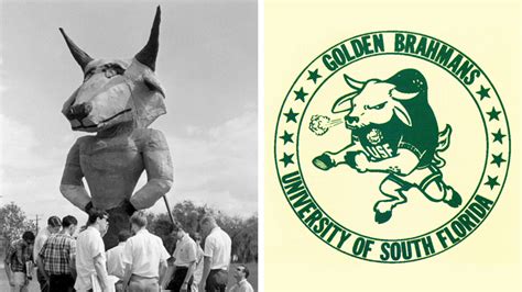 Rocky the Bull | University of South Florida