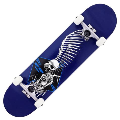 Birdhouse Tony Hawk Full Skull 2 Blue Stage 1 Complete Skateboard 7.5 ...