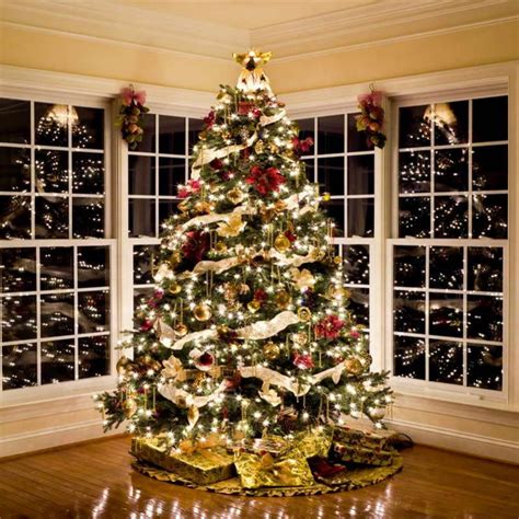 Photography Backdrop Big Christmas Tree Photo Background Sale