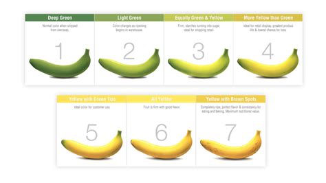 FreshPoint | freshpoint-produce-banana-ripening-chart