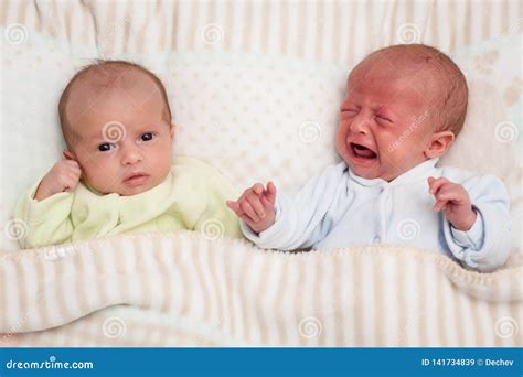 Two Adorable Twin Babies. One Looking, One Crying Stock Image - Image ...