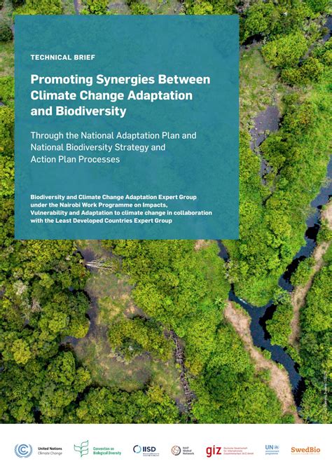 Promoting Synergies Between Climate Change Adaptation and Biodiversity | Global Adaptation ...