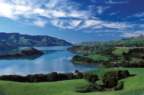 Akaroa Harbour 2-Hour Nature Cruise | GetYourGuide