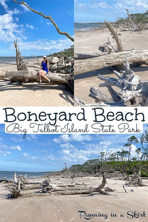 Boneyard Beach Florida - Big Talbot Island State Park via @juliewunder ...