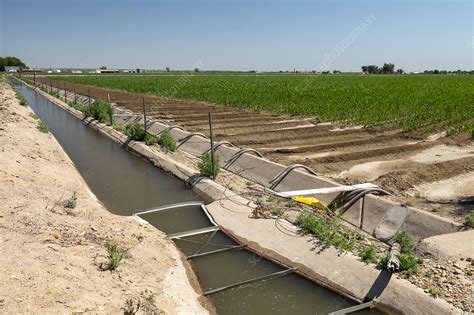 Irrigation ditch - Stock Image - C049/5503 - Science Photo Library