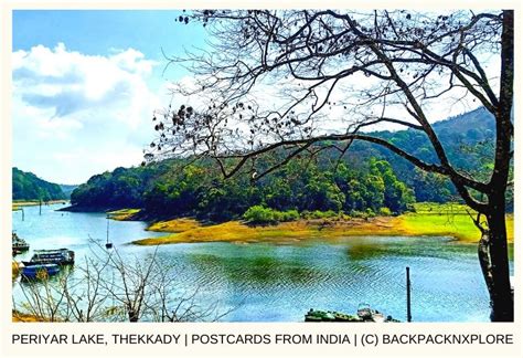 The Perfect Thekkady Itinerary: Home To The Periyar National Park