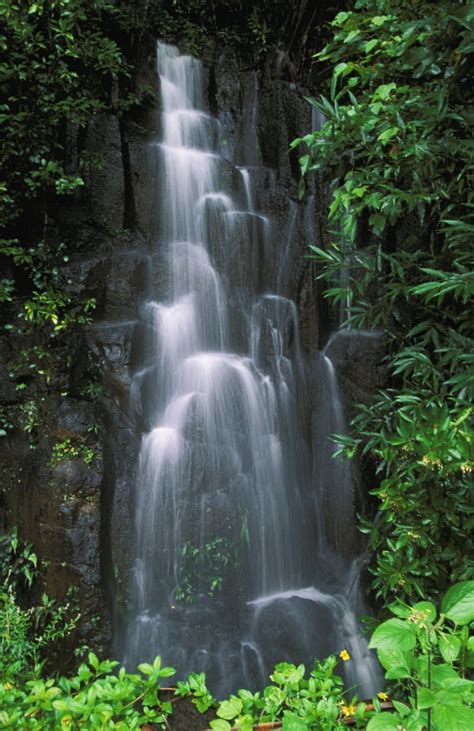 Hawaii Maui Hana Highway Cascading Waterfall In Lush Tropical Rainforest PosterPrint - Walmart ...