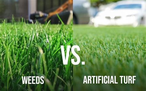 For Safe & Effective Weed Control Try Artificial Turf Long Island, NY