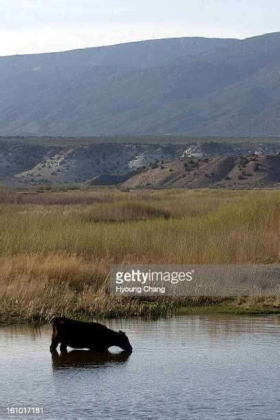 Green River National Wildlife Refuge Photos and Premium High Res ...