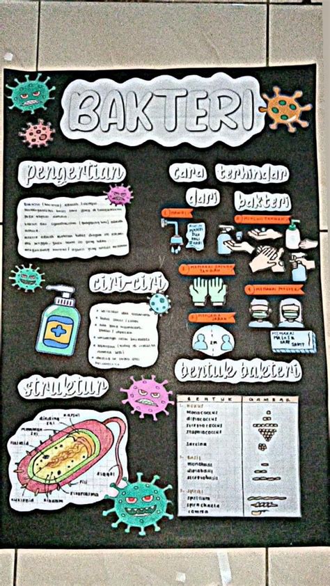 inspirasi mading bertema BAKTERI di 2023 | Ide presentasi, Desain ...