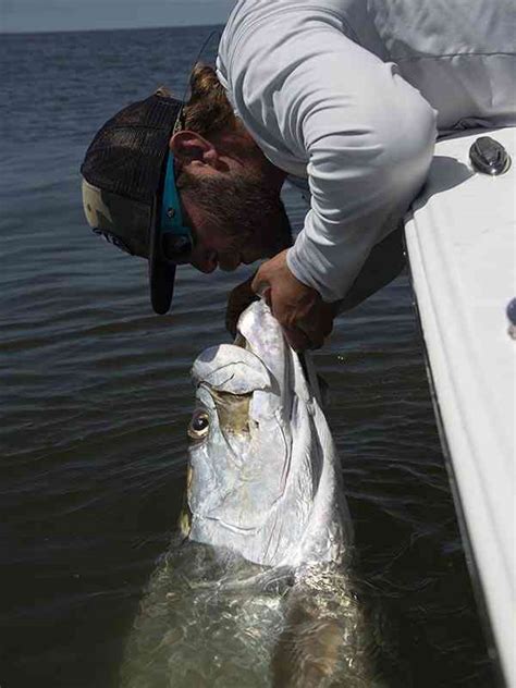 Murrells Inlet Fishing Charters - Carolina Guide Service