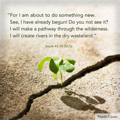 Isaiah 43:19 - For I Am About to Do Something New