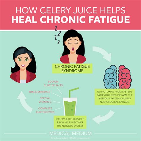 How Celery Juice Helps Chronic Fatigue Syndrome | Chronic fatigue ...