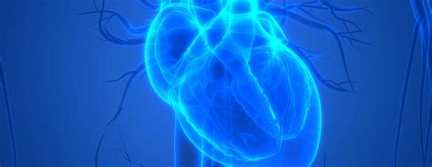 Coronary angiography