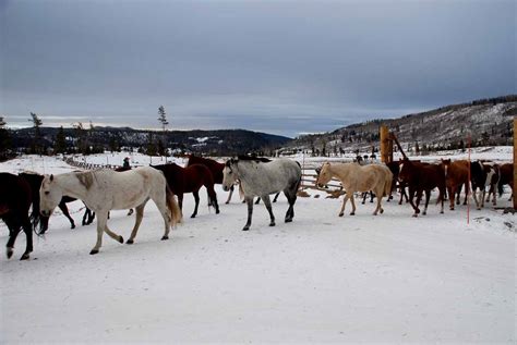 Dude Ranch Recipe Roundup - TravelWorld International Magazine