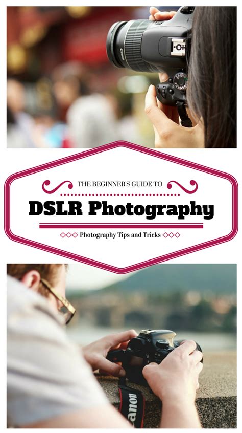 The Beginner's Guide to DSLR Photography: Photography Tips | Improve Your Photography by ...