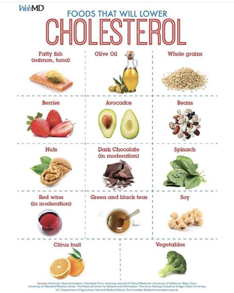 Pin by Lourian Johnson on WebMD Stuff in 2020 | Cholesterol lowering foods, Low cholesterol diet ...