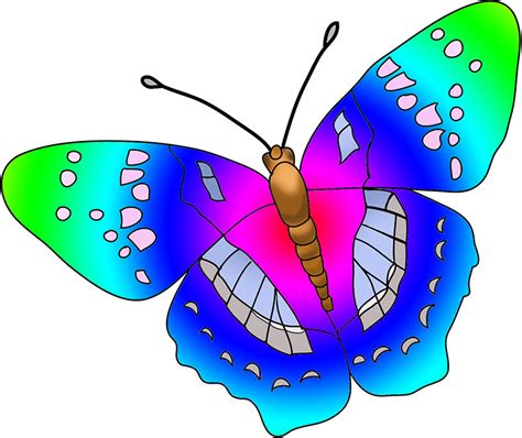 Butterflies colorful butterfly clipart clipartfest – Clipartix