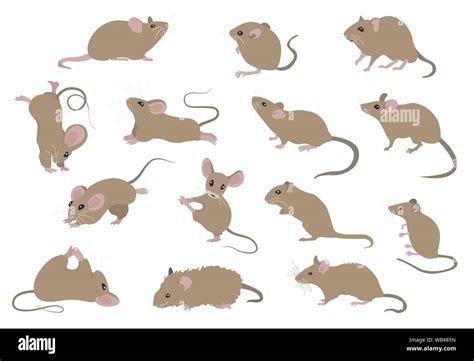 Different mice. Mouse yoga poses and exercises. Cute cartoon clipart ...