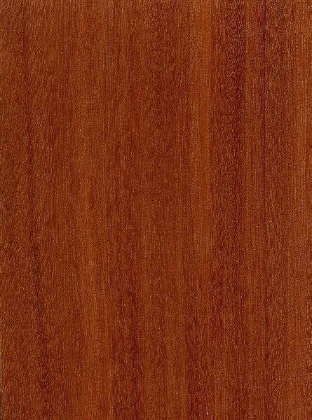 Santos Mahogany | The Wood Database (Hardwood)