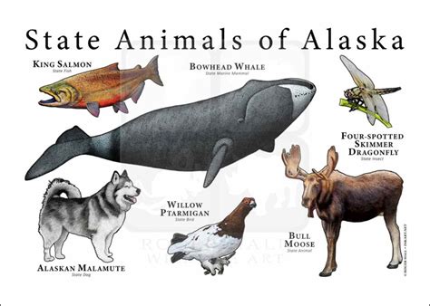 Alaska State Animals Poster Print - inkart