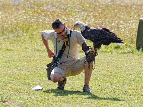 Hawk Conservancy Andover | martin_swatton | Flickr