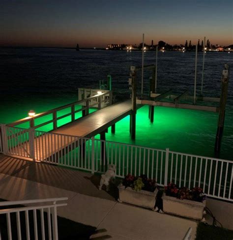 DockPro 16000 LED Boat Dock Light by AlumiGlo in 2020 | Dock lighting, Boat dock, Lake house