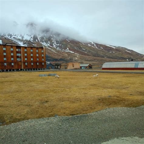 Pyramiden, the ghost town of Svalbard! 👻 Svalbard, Ghost Towns, Norway, Country Roads ...