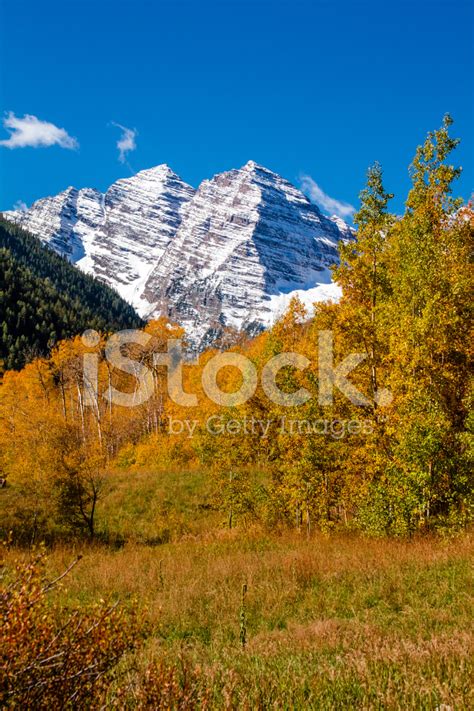 Fall Color In Aspen Colorado Stock Photo | Royalty-Free | FreeImages