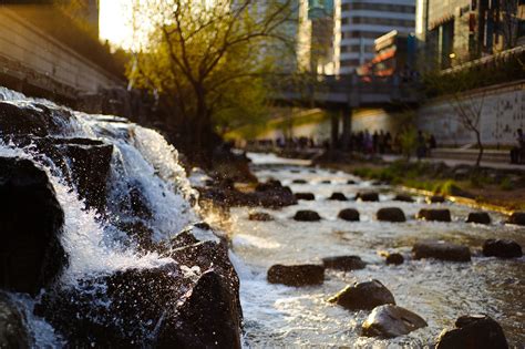 Creating Healthy & Resilient Cities | Mikyoung Kim Design - Our work brings health and well ...