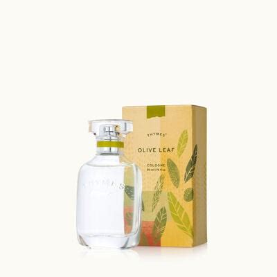 Find amazing products in Olive Leaf' today | Thymes