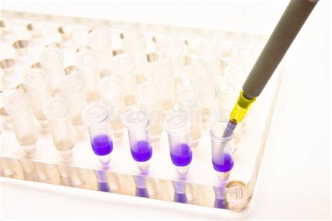 Biological Sample Preparation Stock Image - Image of research, experiment: 24832111